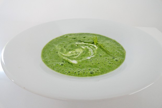 Brennnesselsuppe