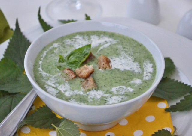 Brennnessel-Suppe