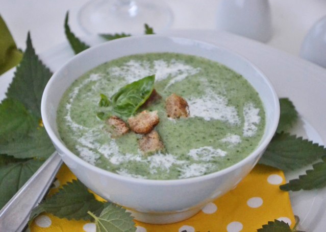 Brennnessel-Suppe - Rezept