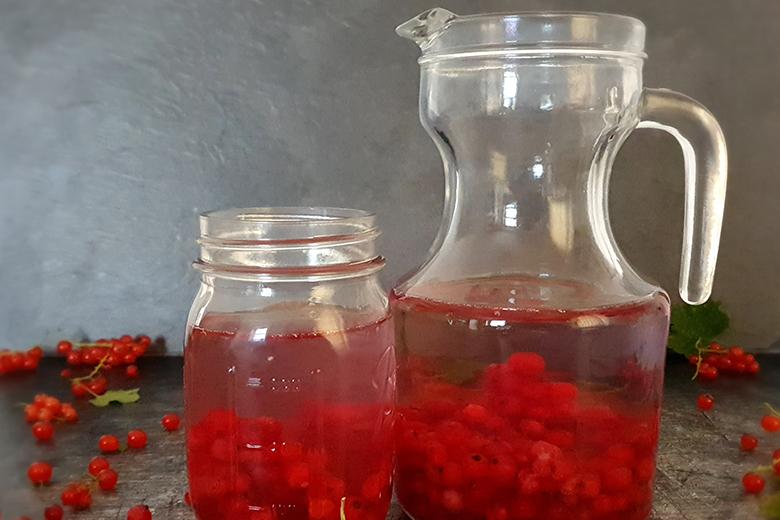 Detox Ribisel-Wasser