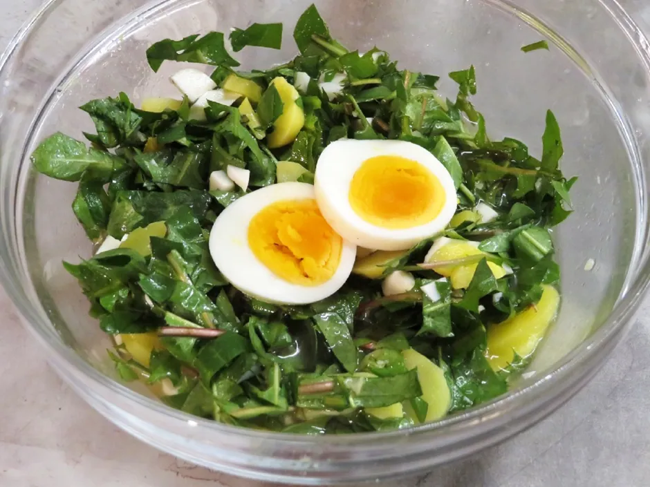R&ouml;hrlsalat mit Erd&auml;pfel und Ei - L&ouml;wenzahnsalat