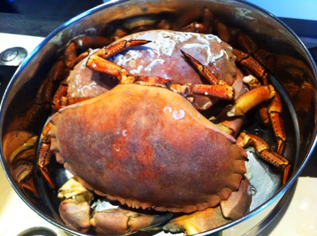 Krebs kochen