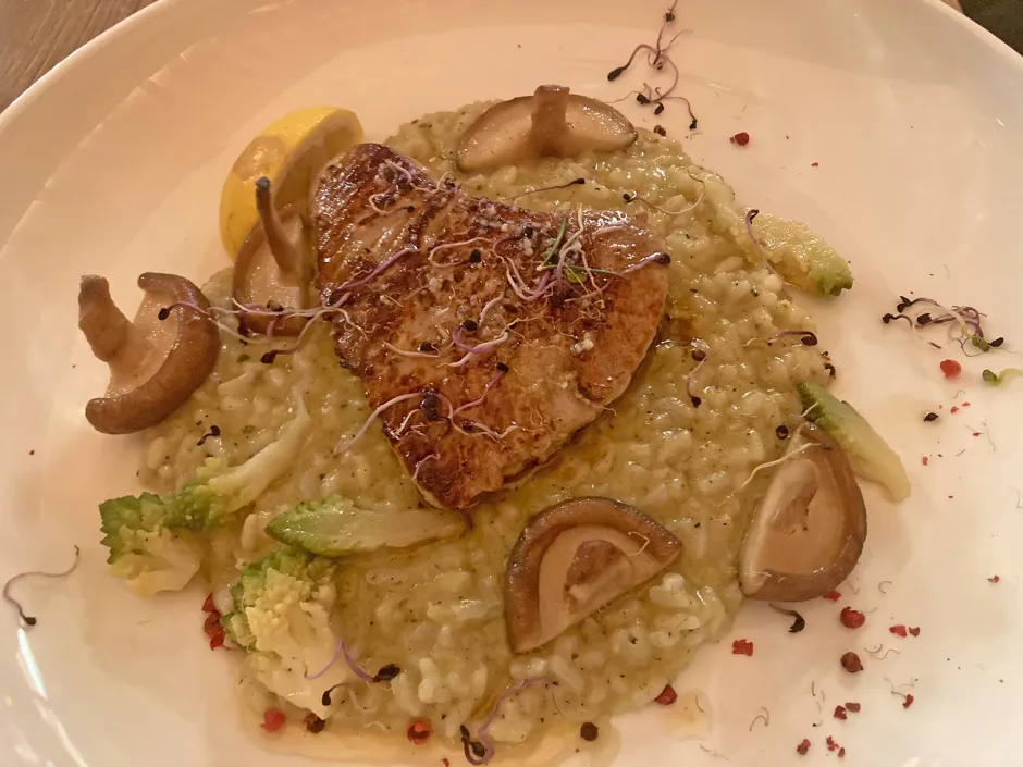 Marinierte Thunfischsteaks