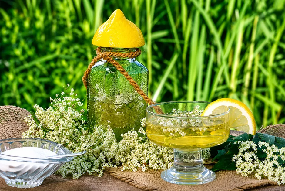 Holundersirup