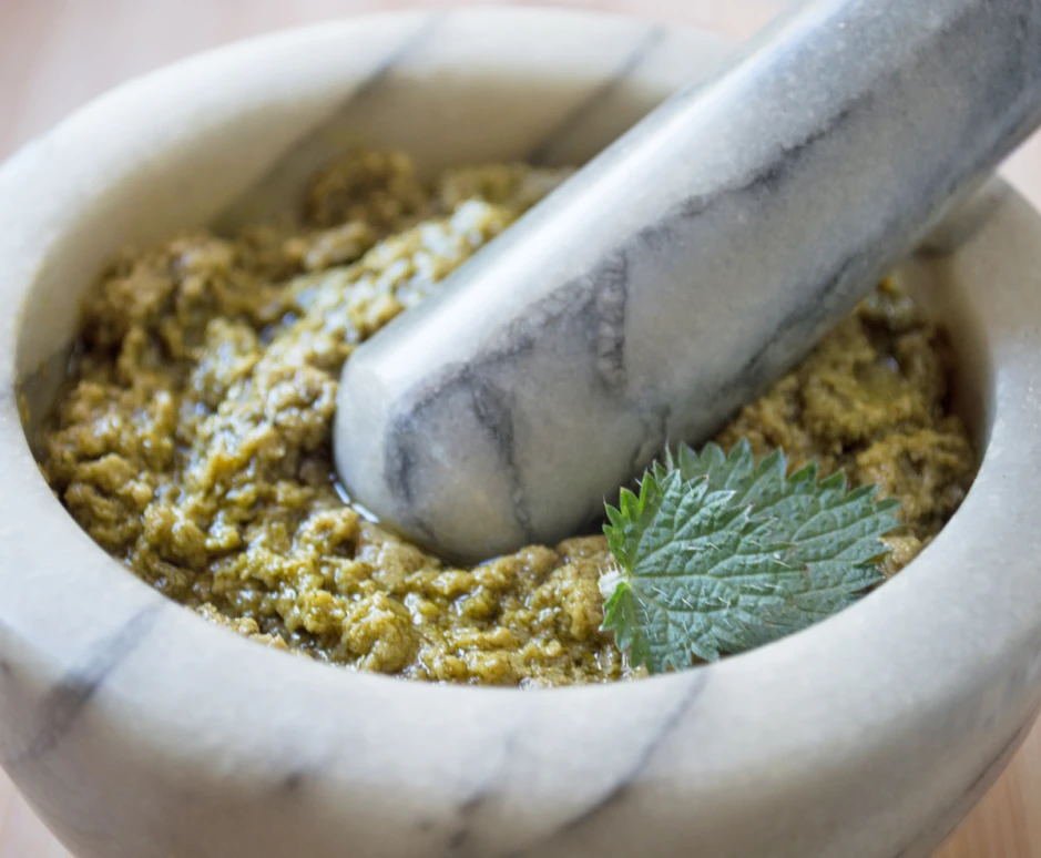 Brennnesselpesto