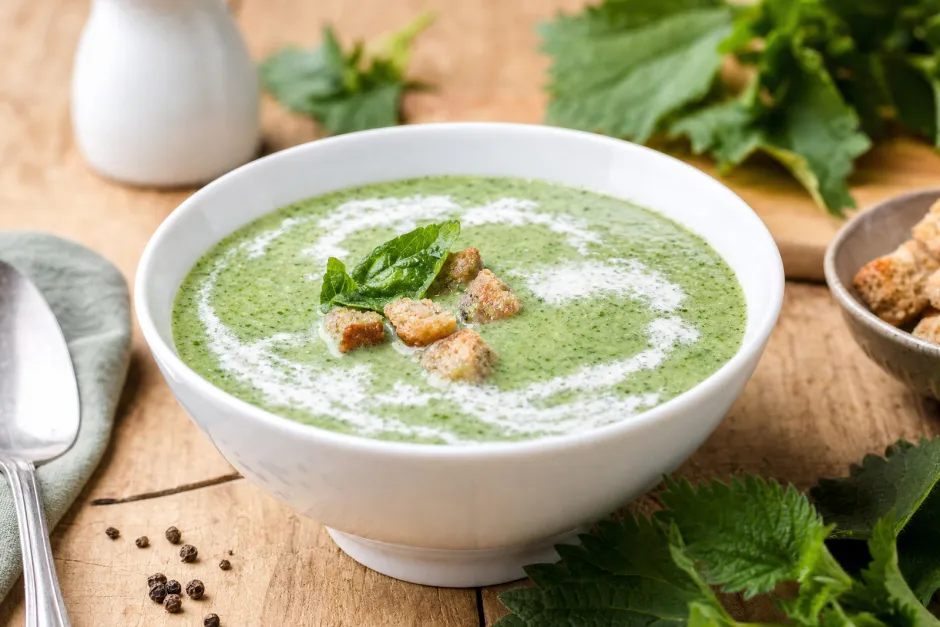 Brennnessel-Suppe