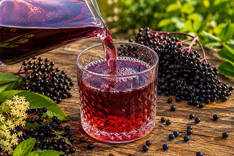 Holunderbeerensirup (klassisch)