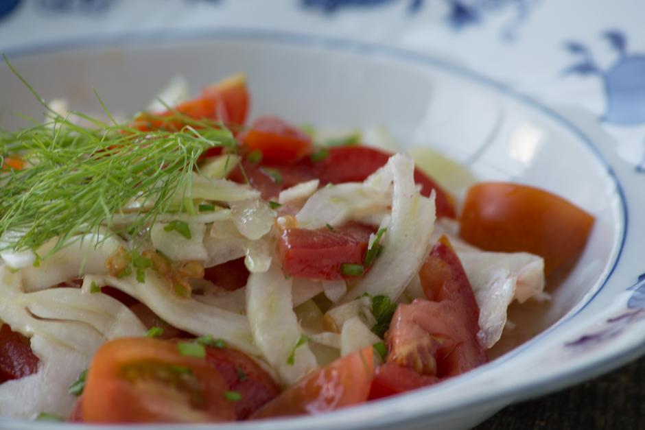 Fenchel-Tomatensalat