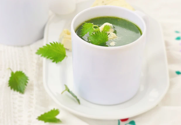 Brennesselsuppe mit B&auml;rlauch