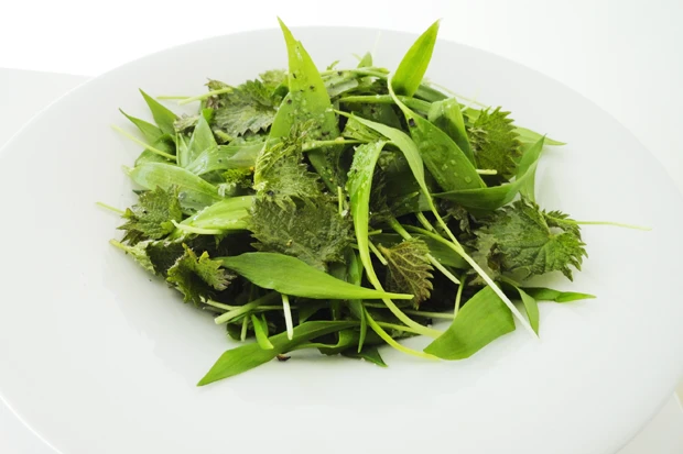 B&auml;rlauchsalat