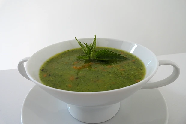 Brennnesselsuppe