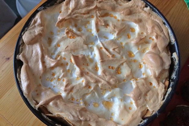 Biskuittorte mit Joghurt und Baiserhaube