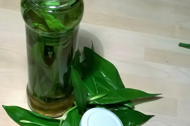 Bärlauchessig