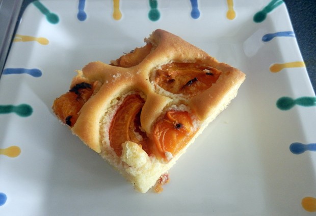 Omas Marillenkuchen