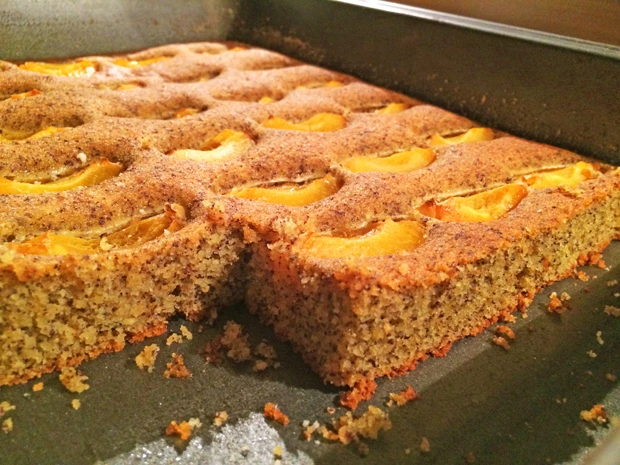Paleo Marillenkuchen mit Mohn