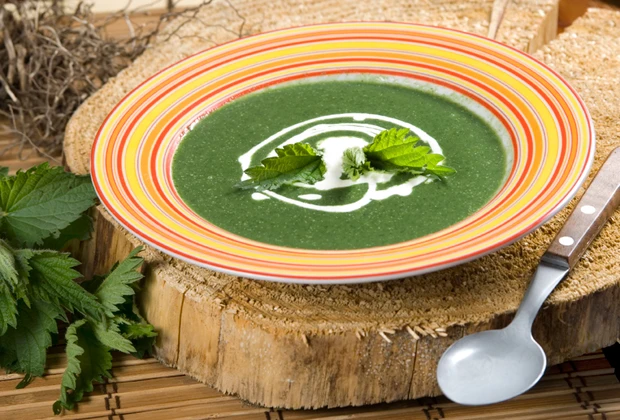 Brennnesselcremesuppe