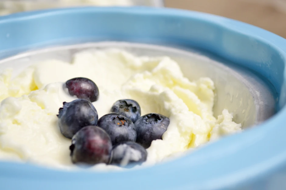 Frozen Yogurt