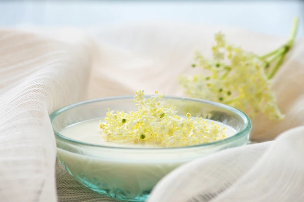 Buttermilchpudding