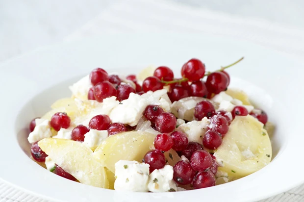 Feta-Tomaten-Ribiseln Salat