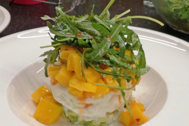 Mango-Mozzarella-Avocado Salat