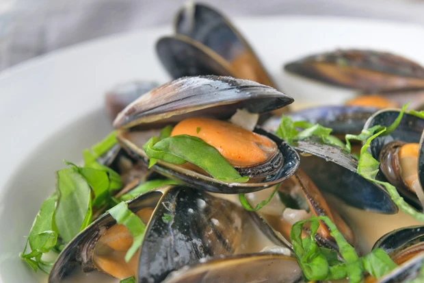 Miesmuscheln in Weißweinsauce