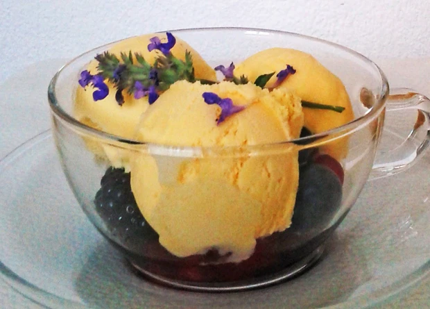 Bl&uuml;tenzauber auf Vanilleeis