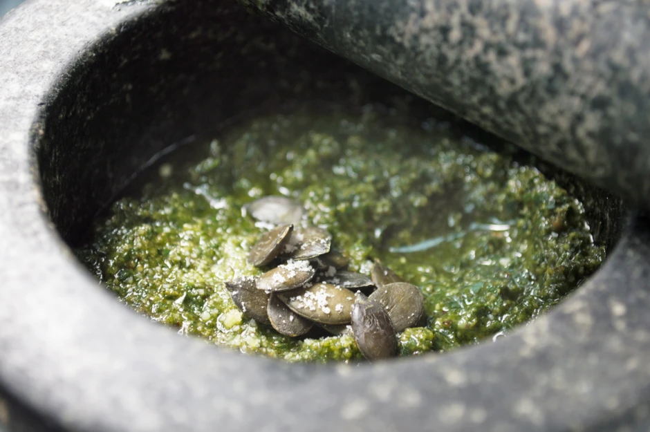 Radieschen-Pesto