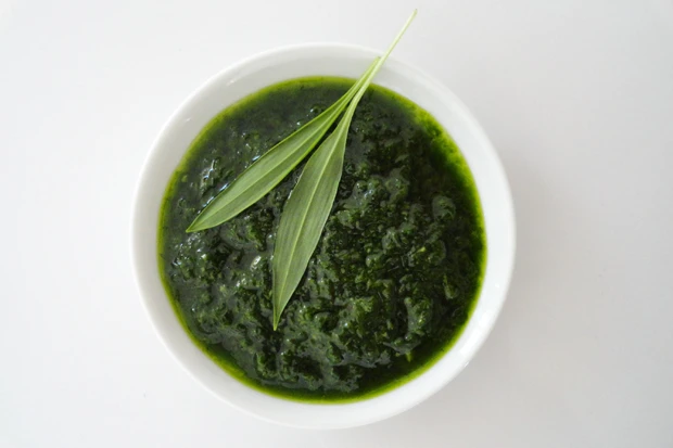 B&auml;rlauchsauce