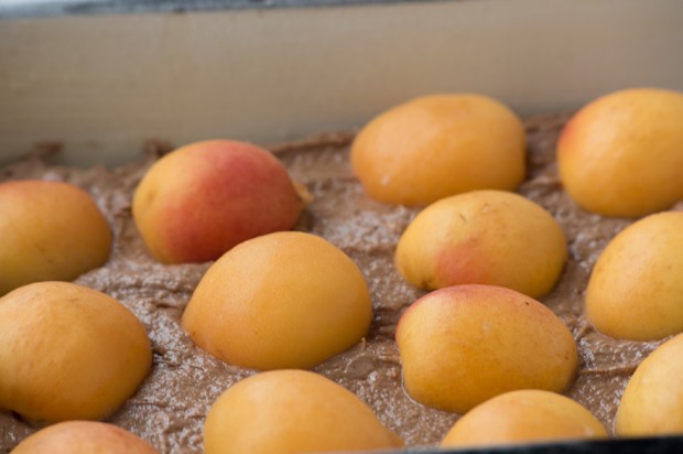 Schoko-Marillenkuchen
