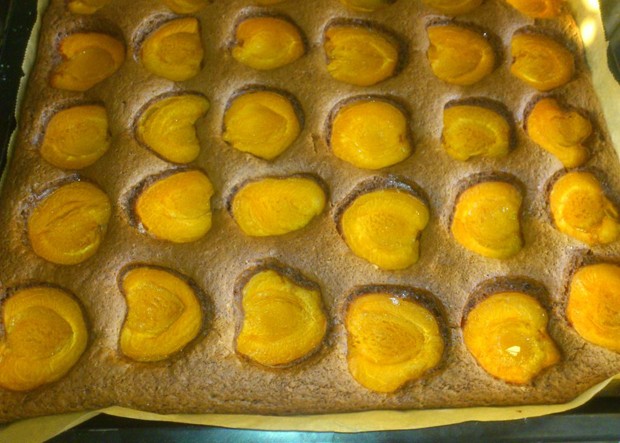 Schoko-Marillenkuchen