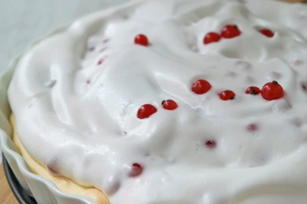 Ribiselschaumschnitte