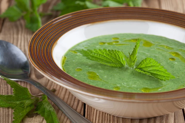 Omas Brennesselsuppe
