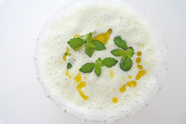 Kalte Gurkensuppe mit frischer Minze