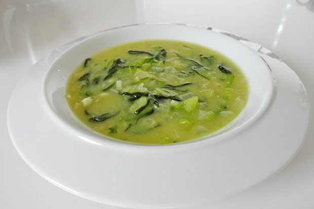 Brennnesselsuppe