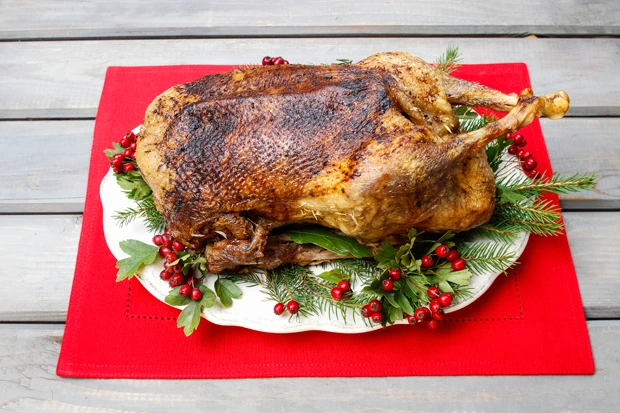 Gebratene Gans