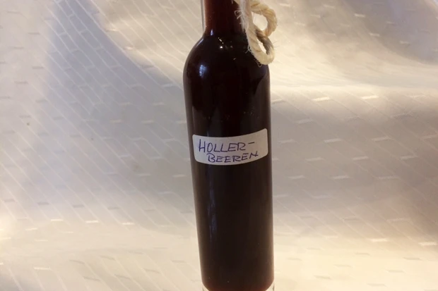 Holunderbeeren-Likör