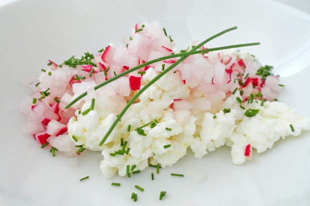 Radieschen mit Hüttenkäse
