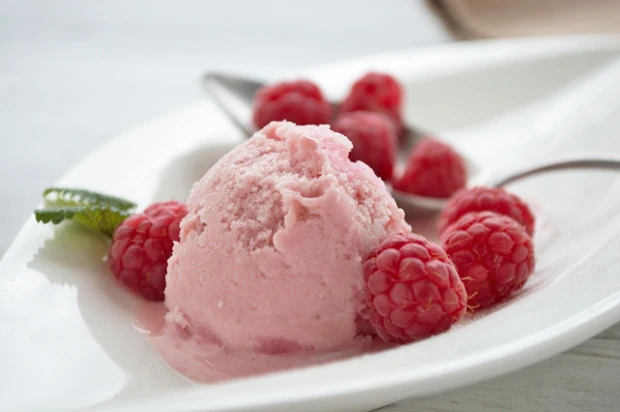 Selbstgemachtes Himbeereis mit Stevia