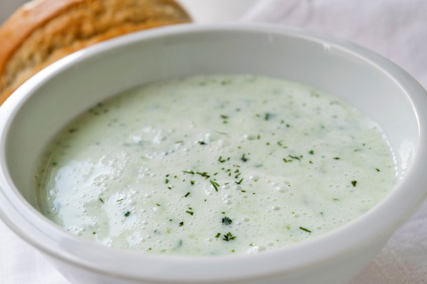 Gurken-Buttermilch-Suppe mit Honig