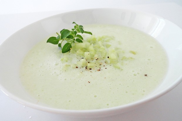 Gurken-Buttermilch-Suppe mit Honig