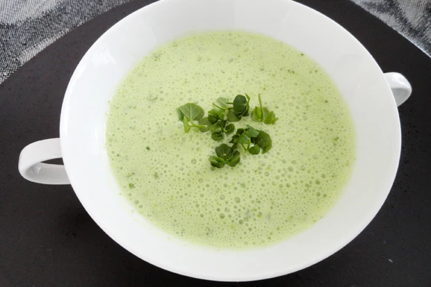 Kalte Topfensuppe