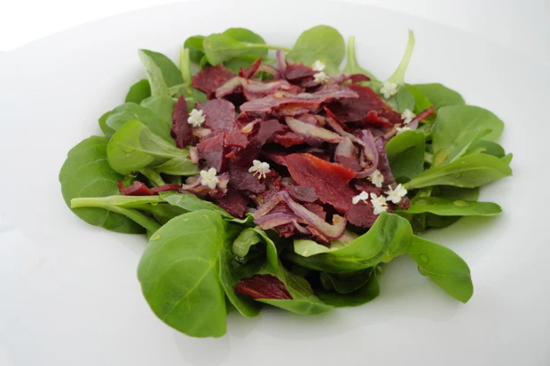 Holunder-Salat