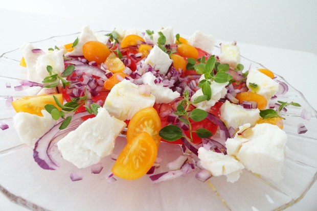 Tomaten mit Ziegenkäse
