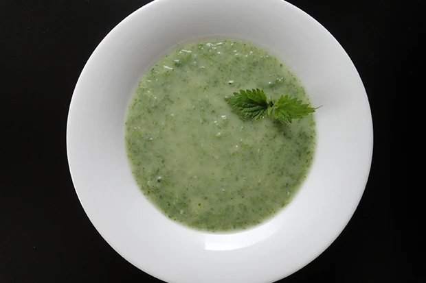 Brennnesselsuppe