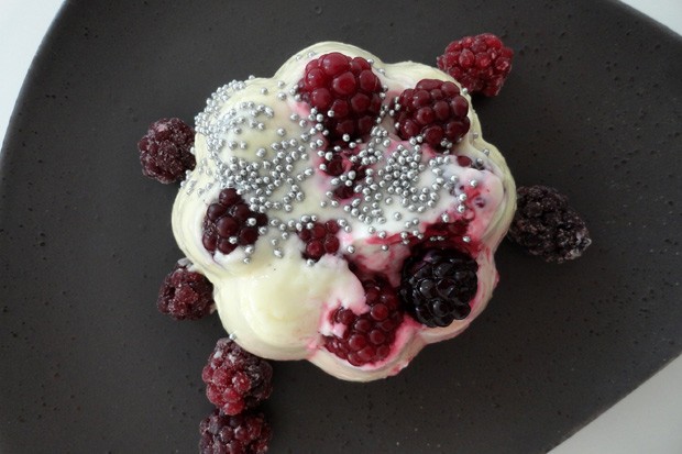 Vanillepudding mit roten Beeren