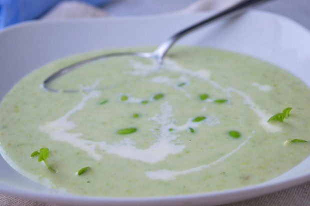 Sojabohnen Suppe