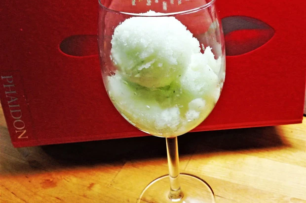 Gurken-Zitronen-Sorbet