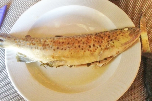 Gegrillte Forellen