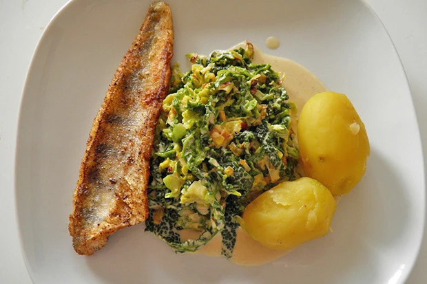Fisch auf Rahmwirsing