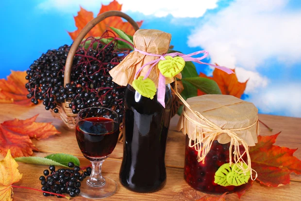 Holundersaft